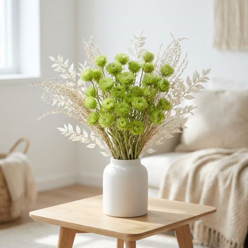 Trockenblumen Capblumen Hellgrün Strohblumen H42cm | Floristik21.de