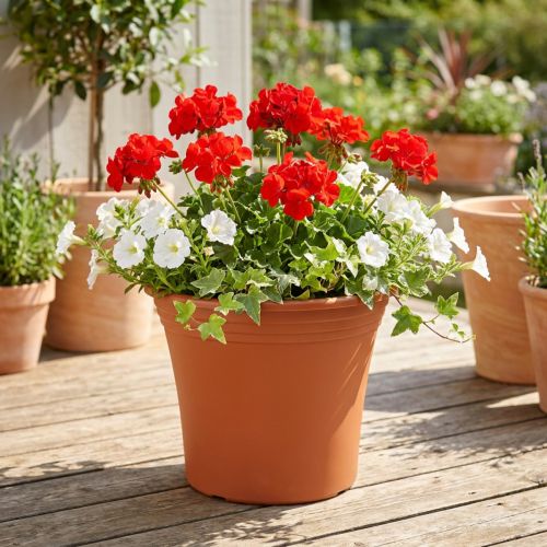 Topf „Irys“ Plastik Terrakotta Ø22cm H18cm 1 St | Floristik21.de