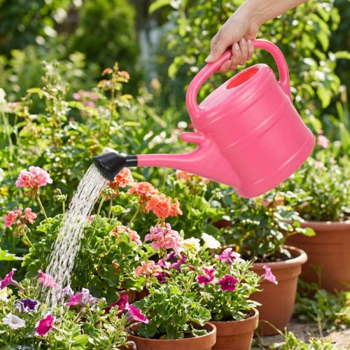 Gießkanne Kunststoff 10L Gartenbewässerung UV-beständig | Floristik21.de