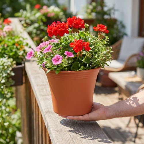 Topf „Irys“ Plastik Terrakotta Ø25cm H21cm, 1 St | Floristik21.de