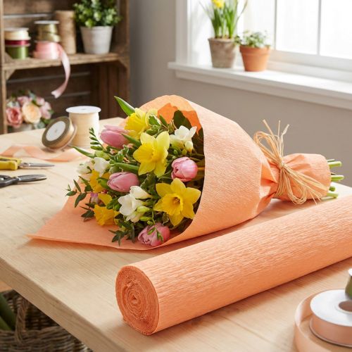 Floristen-Krepppapier Lachs 50x250cm | Floristik21.de