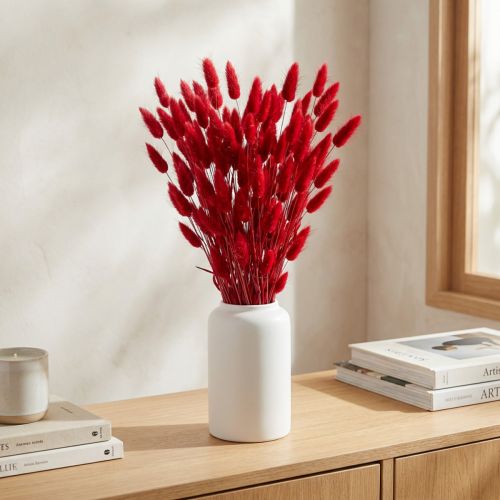 Hasenschwanzgras Lagurus Getrocknet Rot 60cm 50g Trockenblumen Deko | Floristik21.de