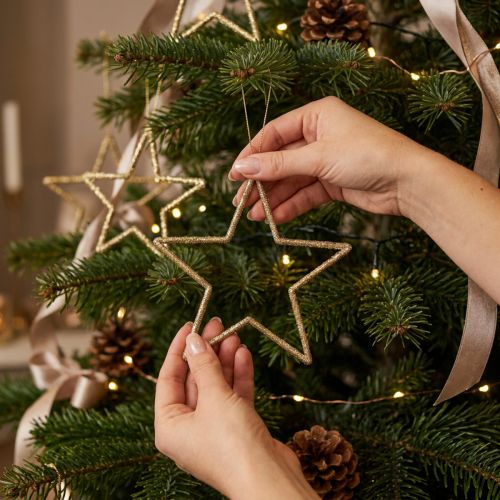 Weihnachtsdeko Stern Anhänger Golden Glitter 12cm 12St | Floristik21.de