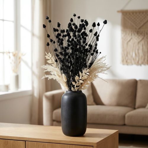 Trockenblumen Schwarz Trockendistel Erdbeerdistel 100g | Floristik21.de