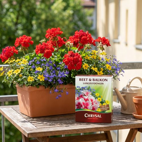 Langzeitdünger Balkon, Zimmerpflanzen 300g | Floristik21.de