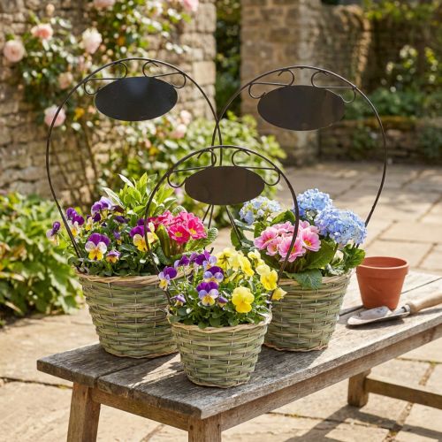 Blumenkorb Henkel Metallschild Set Ø23/20/17cm für Dekoration und Floristen | Floristik21.de