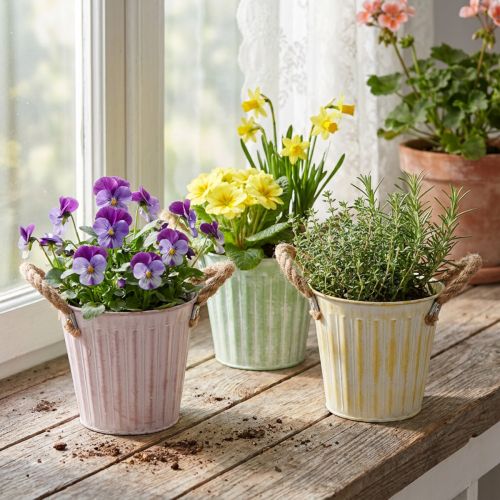 Deko-Topf, Metalleimer zum Bepflanzen, Pflanzgefäß mit Henkeln, Rosa/Grün/Gelb Shabby Chic Ø15cm H13cm 3er-Set | Floristik21.de