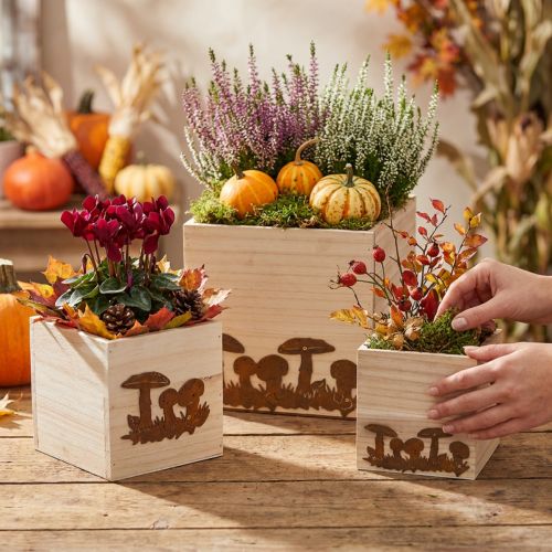 Pflanzwürfel, Blumenkiste, Herbstdeko mit Edelrost 20/16/12cm 3er-Set | Floristik21.de
