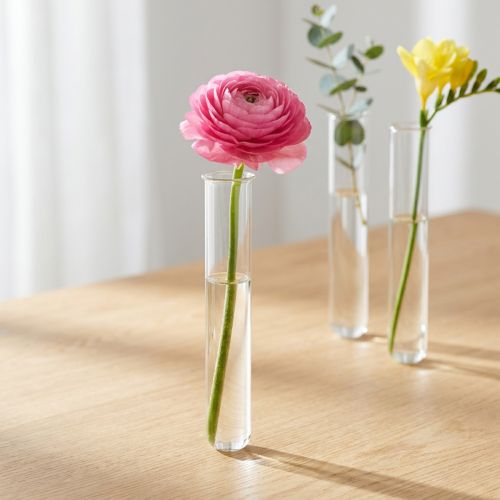 Reagenzglas 160mm × 22mm | Floristik21.de