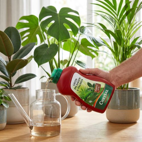 Artikel Chrysal Grünpflanzen & Palmen 500ml
