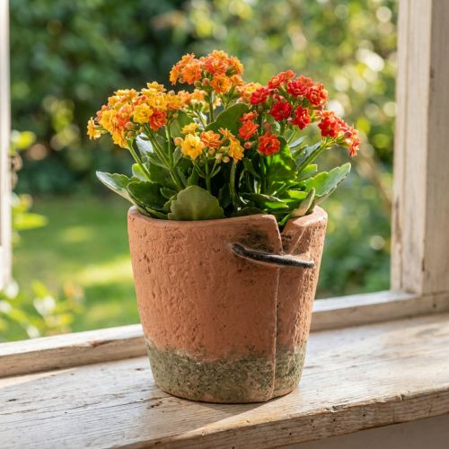 Artikel Beton Blumentopf Übertopf Terracotta Topf Ø13cm H13cm