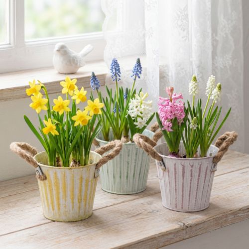 Artikel Pflanzeimer, Metalltopf mit Henkeln, Dekogefäß zum Bepflanzen Rosa/Grün/Gelb Shabby Chic Ø12cm H10cm 3er-Set
