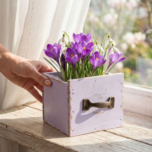 Schublade Shabby Chic Deko Holz Lila Frühling 12,5×12,5×10cm | Floristik21.de