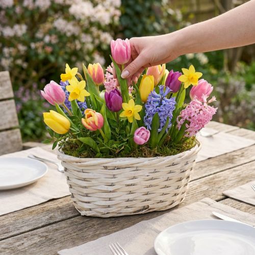 Weidenkorb Weiß gewaschen 29×18×14cm – Vielseitiger Pflanzen- und Dekokorb | Floristik21.de