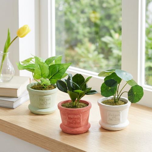 Künstliche Grünpflanzen im Topf 15cm 3er Set Dekoration | Floristik21.de