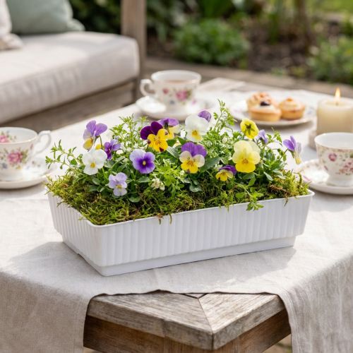 Steckschale Lara 15cm x 8cm x 4cm 10St | Floristik21.de