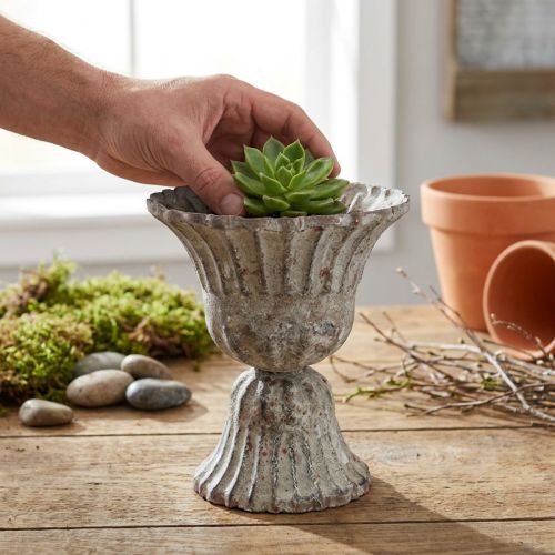Pokal Grau Antik Optik Ø12cm H13,5cm | Floristik21.de