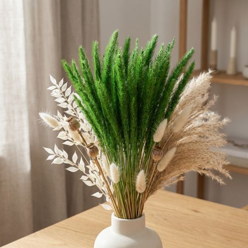 Grüne Borstenhirse Setaria viridis Trockengras 52cm 28g | Floristik21.de
