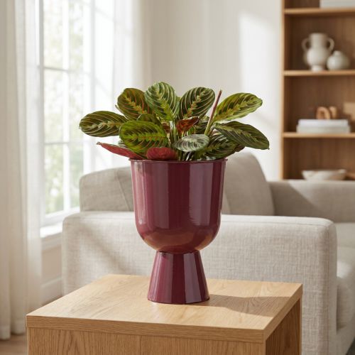 Pokal Blumentopf 23cm Rot Metall für stilvolle Dekoration | Floristik21.de