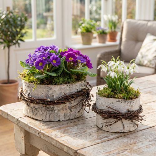Übertopf Holz Birkenholz Birkentopf Weiß Ø11/16cm 2er-Set | Floristik21.de