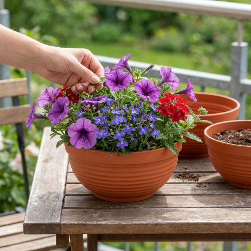 Artikel R-Schale Plastik Terrakotta Ø19cm, 10 St
