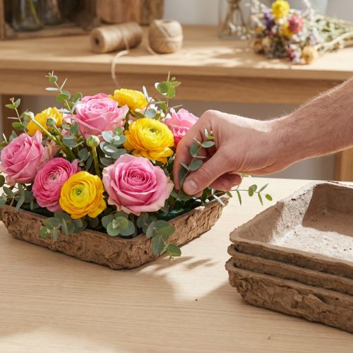 Oasis Biolit Basis Steckschaum 13x13x2cm 12er Set Blumendeko DIY | Floristik21.de