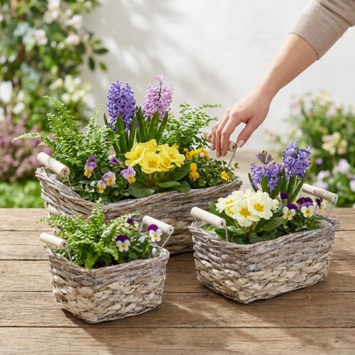 Artikel Pflanzkorb mit Henkeln, Korbschale eckig, Naturgefäß zum Bepflanzen Shabby Chic Weiß gewaschen L30/25,5/21cm H12/11/10cm 3er-Set