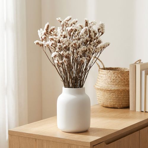 Strandflieder Weiß Limonium Trockenblumen 60cm 35g | Floristik21.de