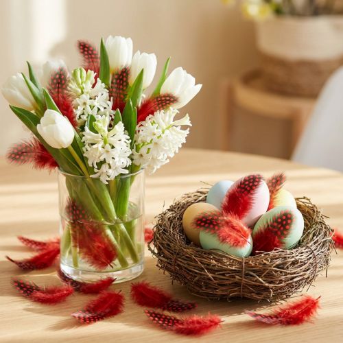 Perlhuhnfedern Echte Federn Rot 5cm 30g | Floristik21.de