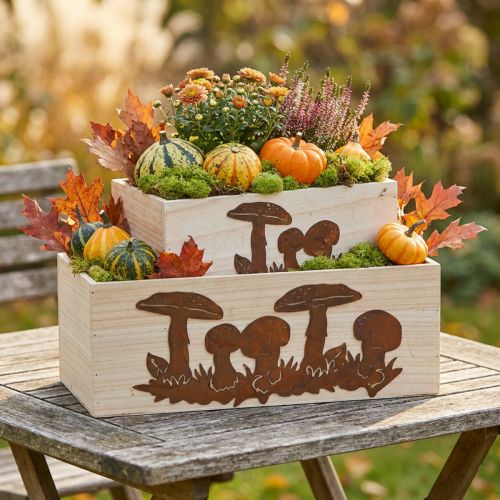 Pflanzkasten-Set, Holzkisten mit Pilzen, Herbstdeko Edelrost L40/30cm 2er-Set | Floristik21.de