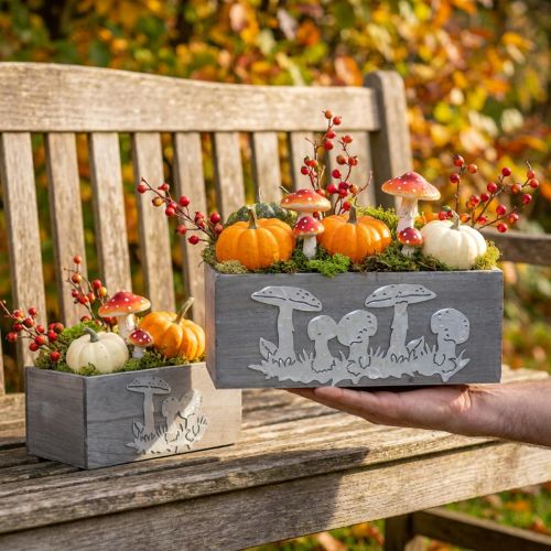 Holzkasten-Set Fliegenpilz, Herbstdeko, Gartendeko, Pflanzkisten L40/30cm 2er-Set | Floristik21.de