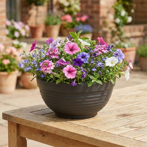 R-Schale Plastik Anthrazit 19cm, 10St | Floristik21.de