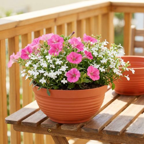 R-Schale Plastik Terrakotta Ø15cm, 10 St | Floristik21.de