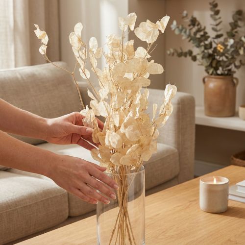 Artikel Silberblatt getrocknet Lunaria Champagner 65-70cm 20g