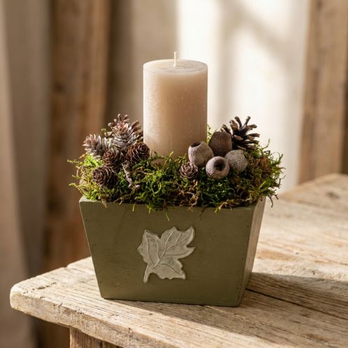 Pflanzkasten Holz Shabby Chic Holzkiste Grün 11×14,5×14cm | Floristik21.de