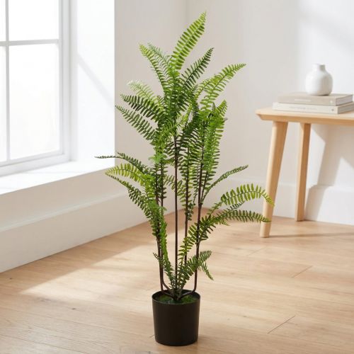 Farn im Topf Grün 80cm | Floristik21.de