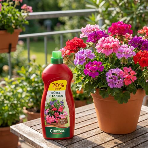 Chrysal Düngemittel Kübelpflanzen Dünger 1,2l | Floristik21.de