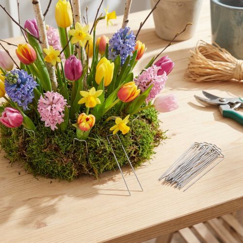 Patenthaften 17/80 Pflanzennadeln, 8 × 2 cm, silberfarben, 2,5 kg | Floristik21.de