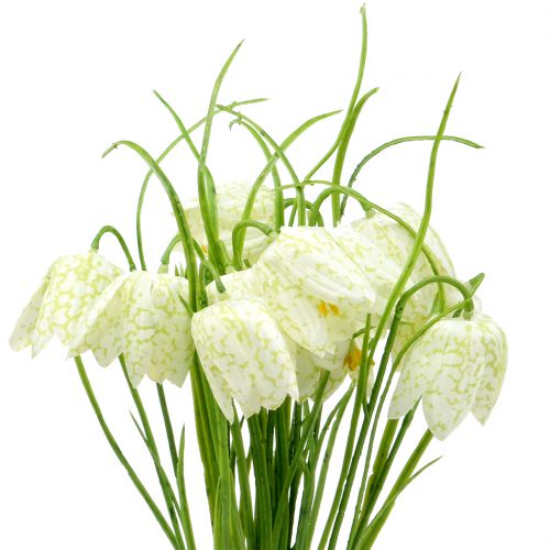 Artikel Schachbrettblumen Fritillaria künstlich Weiß, Grün 40cm 12 St