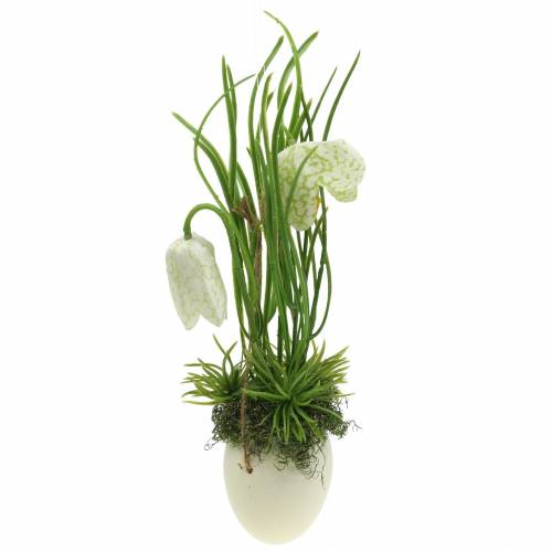 Fritilaria in der Eischale zum Hängen künstlich Grün, Weiß 25cm