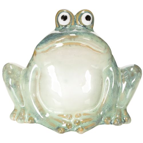 Floristik21 Keramik Frosch Figur 13cm Deko Tier Charmant Geschenkidee Hochwertig