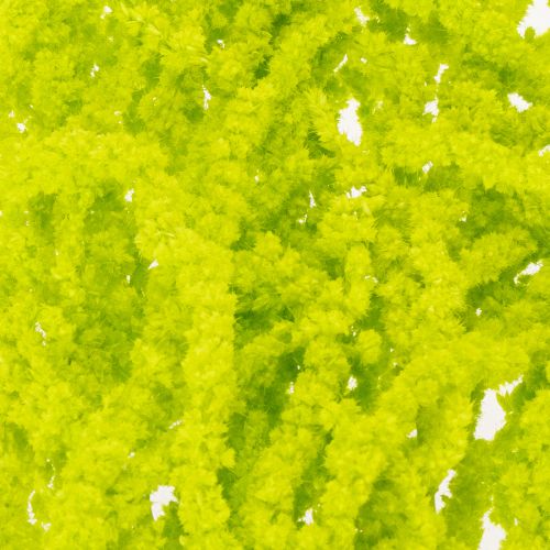 Artikel Trockenblumen Fuchsschwanz Amaranth gefärbt 100 cm für Innenraumdekoration