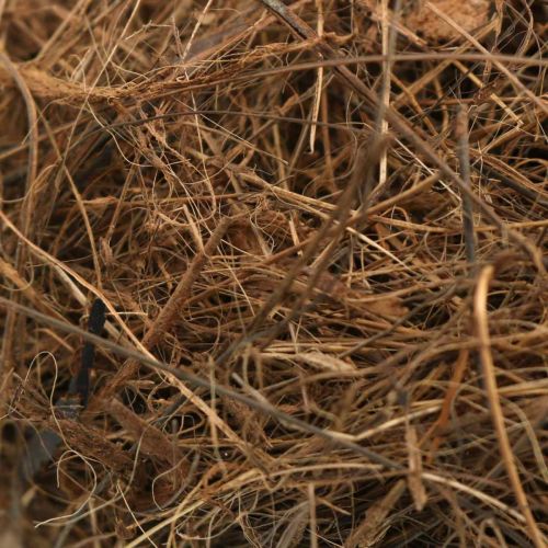 Füllmaterial für Gestecke, Deko-Fasern, Rebenmaterial 1kg