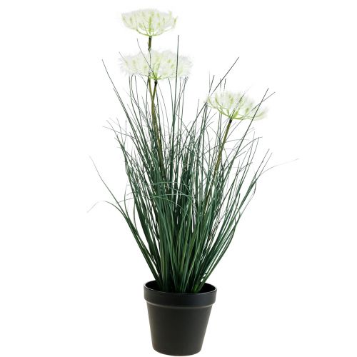 Floristik21 Binsen Gras Künstlich Blüte Kunstblumen im Topf 56cm