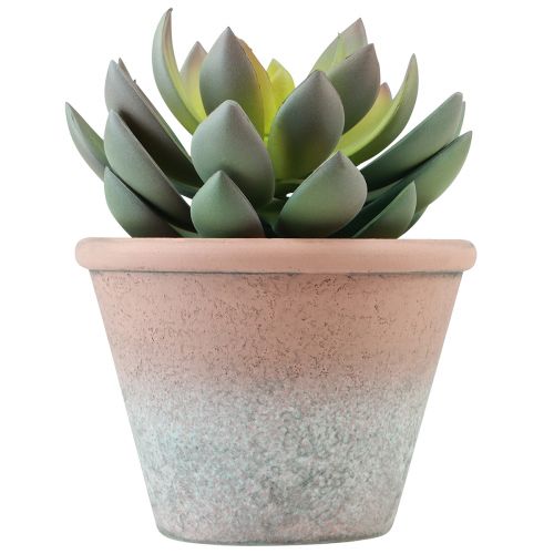 Floristik21 Sukkulente im Topf Echeveria künstlich Grün Vintage Ø15cm H16cm