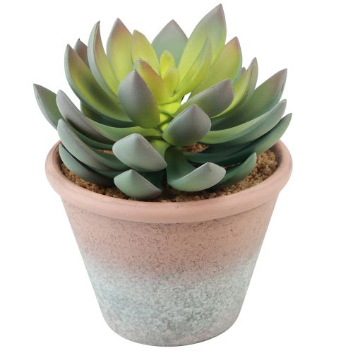 Artikel Sukkulente im Topf Echeveria künstlich Grün Vintage Ø15cm H16cm