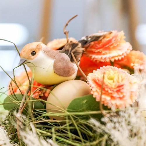 Floristik21 Gänseblümchen künstlich Pfirsichfarben 24cm 2St