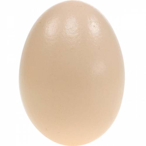 Floristik21 Ausgeblasene Gänseeier Creme 10 Stück – Natürliche Osterdeko für Tisch und Nest