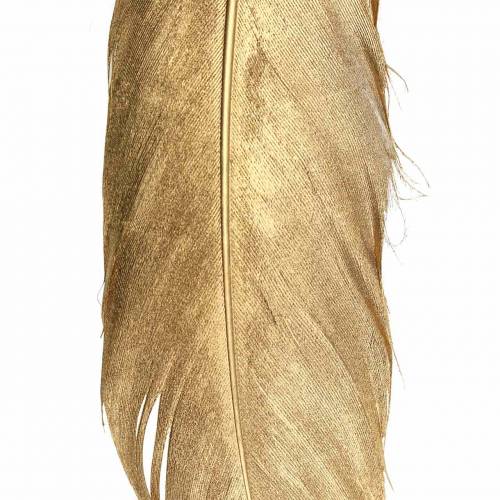 Floristik21 Goldene Federn zum Basteln 16-18cm 12St