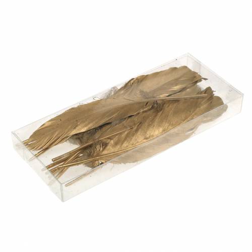 Floristik21 Goldene Federn zum Basteln 16-18cm 12St